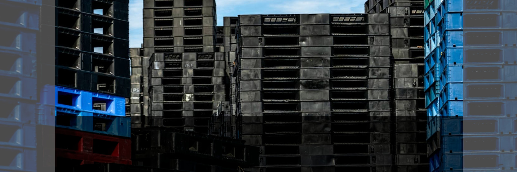 Skup palet z tworzyw sztucznych