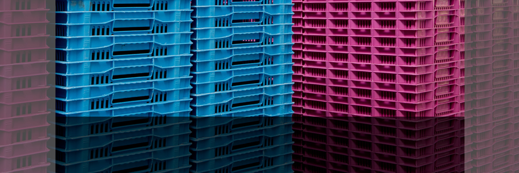 Skup skrzynek plastikowych