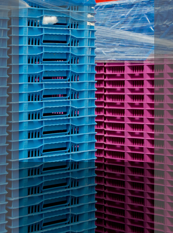 Skup skrzynek plastikowych